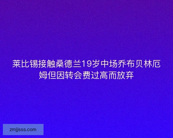 莱比锡接触桑德兰19岁中场乔布贝林厄姆但因转会费过高而放弃