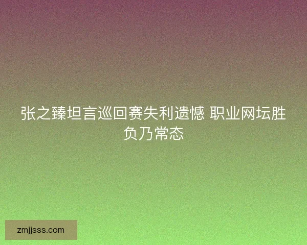 张之臻坦言巡回赛失利遗憾 职业网坛胜负乃常态