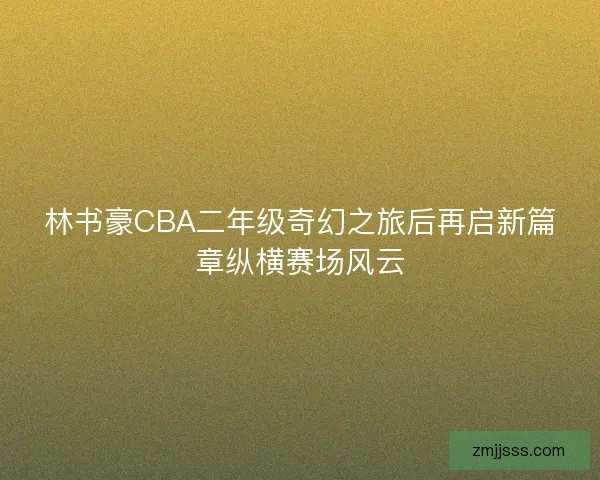 林书豪CBA二年级奇幻之旅后再启新篇章纵横赛场风云